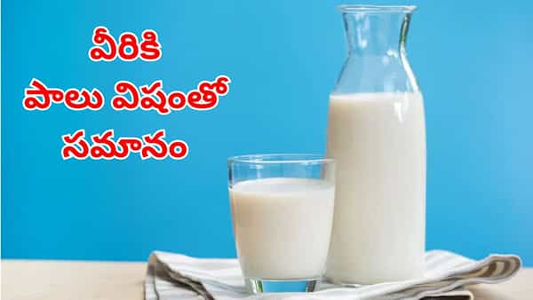 Milk Side Effect: వీరికి పాలు విషంతో సమానం.. పొరపాటున కూడా వాటి జోలికి వెళ్లకండి!