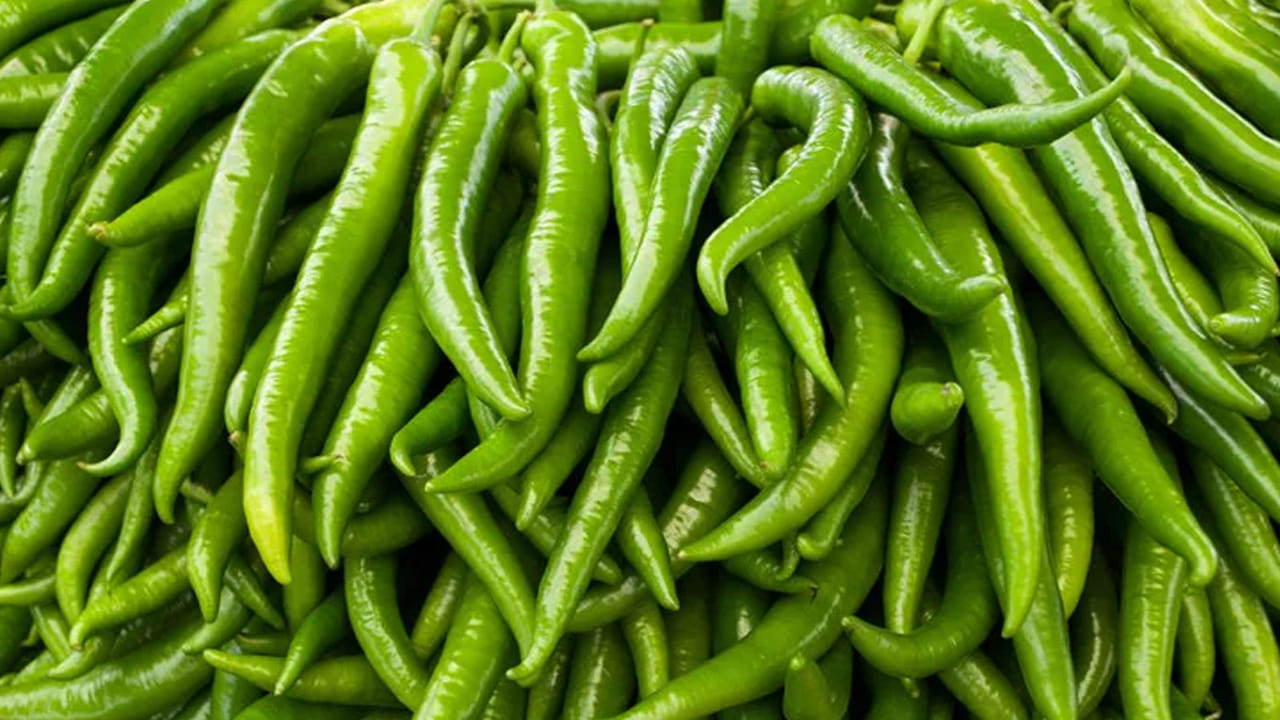 మన ఫుడ్ డైట్ లో పచ్చి మిరపకాయలను చేర్చడం వలన కొన్ని అనారోగ్య సమస్యలకు చెక్ పెట్టొచ్చని నిపుణులు చెబుతున్నారు. 
ఎందుకంటే, మన శరీరానికి కావాల్సిన పోషకాలు, విటమిన్లు దీనిలో ఉన్నాయి. 