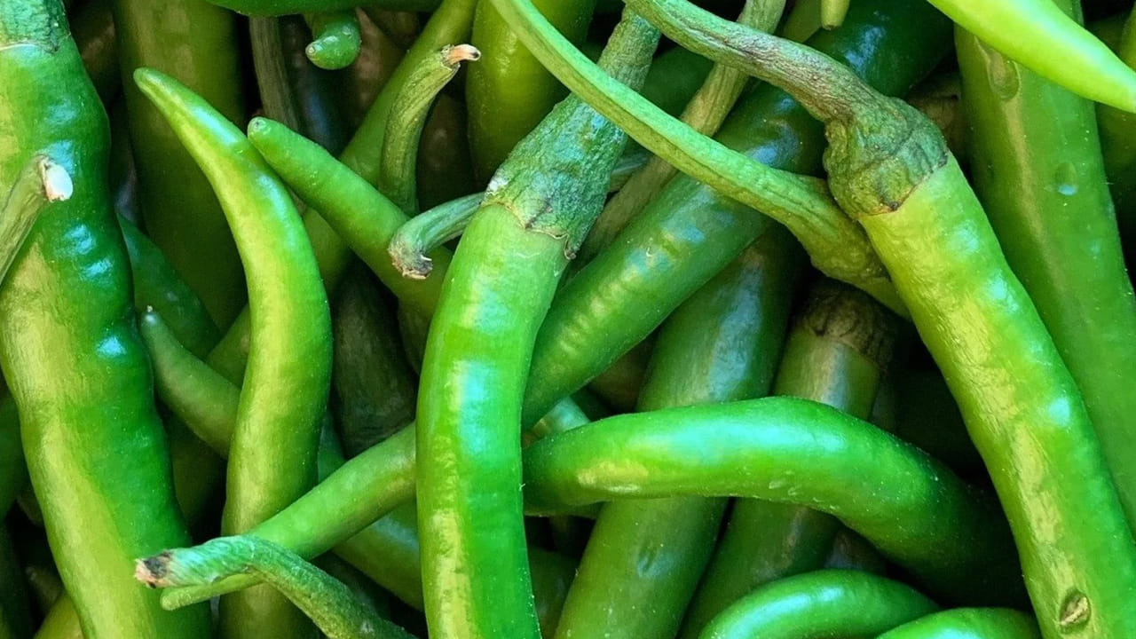 డిప్రెషన్ : డిప్రెషన్ తో బాధ పడేవారు పచ్చి మిర్చిని తినడం వలన మానసిక స్థితిలో మార్పులు వస్తాయి. దీని వలన ఒత్తిడి నుంచి ఉపశమనం పొందుతారు.  అంతే కాదు, ఉల్లాసవంతమైన హార్మోన్స్ ను రిలీజ్ చేసి మిమ్మల్ని యాక్టీవ్ గా ఉంచుతుంది. 
