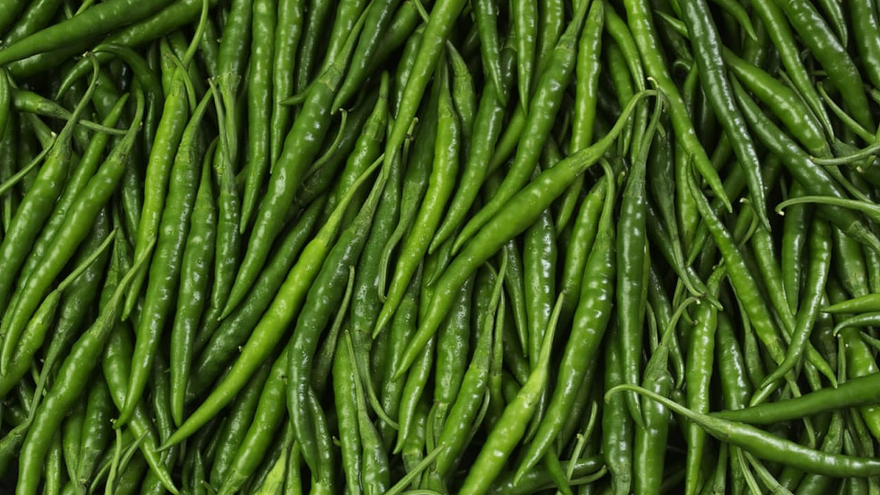 ఇన్ఫెక్షన్లు:  ఈ ప్రపంచంలో ఎంతో మంది ఇన్ఫెక్షన్లతో బాధపడుతున్నారు. అలాంటి వారు మిర్చి తీసుకోవడం వలన ఆ సమస్యల నుంచి ఉపశమనం పొందొచ్చు. అలాగే, ఇది మిమ్మల్ని ఆరోగ్యంగా కూడా ఉంచుతుంది. 
