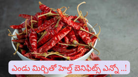 ఘాటైన మిరపకాయలతో ఇన్ని ఆరోగ్య ప్రయోజనాలా..? తెలిస్తే అస్సలు వదలరు