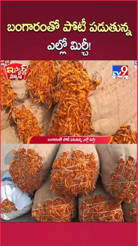 Yellow Chilli: బంగారంతో పోటీ పడుతున్న ఎల్లో మిర్చీ..రికార్డు స్థాయికి..!