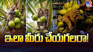 TTD: టీటీడీ శ్రీవారి డాలర్లకు ఫుల్ డిమాండ్