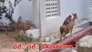 ‘మతపరమైన ఉగ్రవాదులు చరిత్ర పుటలకు పరిమితం..’ సోమనాథ్ స్వాభిమాన్ పర్వ్‌లో ప్రధాని మోదీ