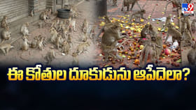 ఈ కోతుల దూకుడును ఆపేదెలా?