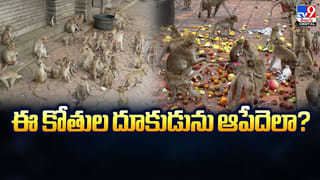 బంగారంపై ఇన్వెస్ట్‌ చేసేవారికి అలెర్ట్‌