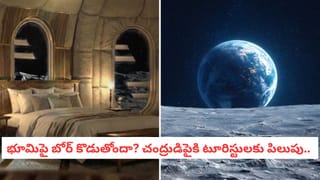 EB-1A: ఐన్‌స్టీన్ వీసా అంటే ఏమిటి.. దీనిని ఎవరికి ఇస్తారు.. ఎలా దరఖాస్తు చేసుకోవాలి?
