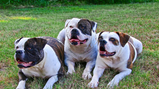 Gold and Silver Price: పసిడి ప్రియులకు దిమ్మతిరిగే షాక్.. 4 గంటల్లోనే రికార్డ్ స్థాయికి బంగారం, వెండి ధరలు.. తులం ఎంతంటే?