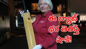 ప్రపంచంలో అత్యంత ఖరీదైన బ్యాట్‌ ఇదేనట.. దీన్ని ఎవరు వాడారో తెలుసా