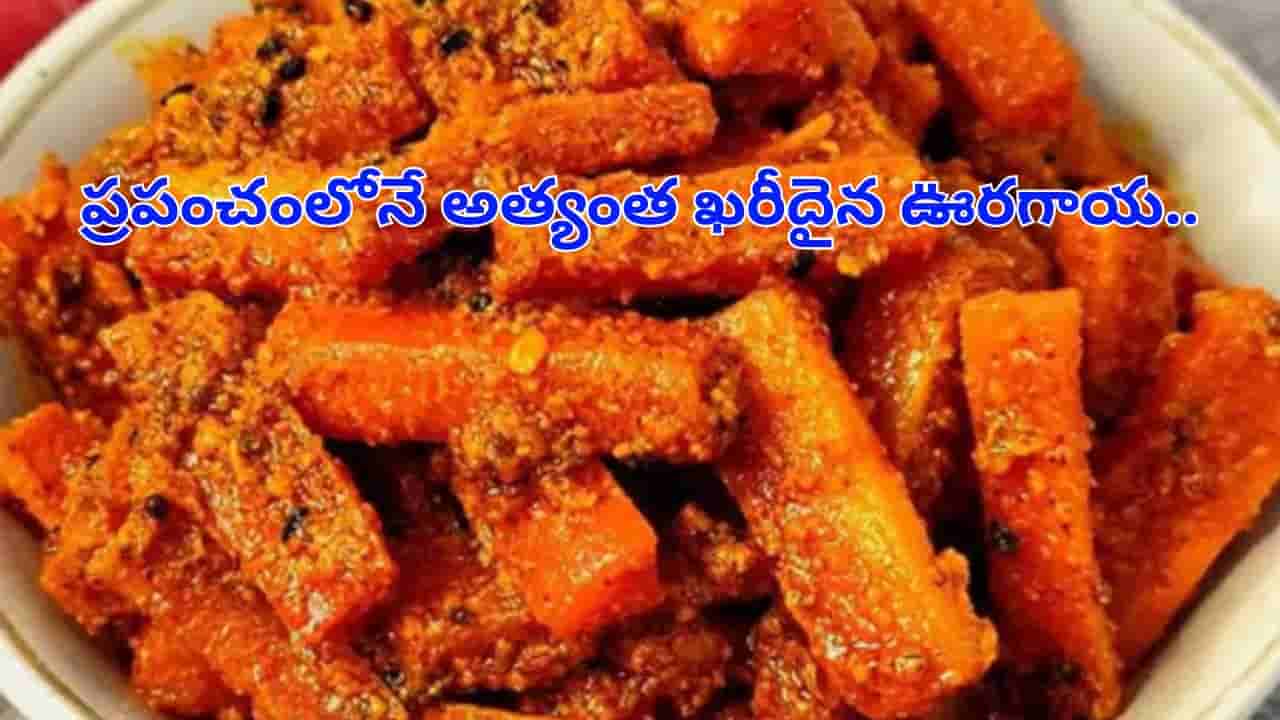 Most Expensive Pickle:ప్రపంచంలోనే అత్యంత ఖరీదైన ఊరగాయ.. రుచి చూడాలంటే ధనవంతులు కూడా అప్పు చేయాల్సిందే..!