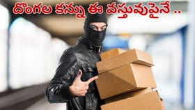 బంగారం.. డబ్బు కాదు.. ప్రపంచంలోనే ఎక్కువగా దొంగిలించే వస్తువు..