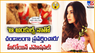 Mahesh Babu : మహేష్ బాబు సూపర్ హిట్ సినిమా.. ఒక్క సీన్ తేడా జరిగితే నన్ను చంపేసేవాళ్లు.. డైరెక్టర్ కృష్ణవంశీ..