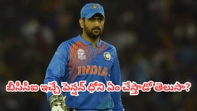 ధోనీకి బీసీసీఐ నుంచి భారీగా పెన్షన్.. ఆ డబ్బునంతా ఏం చేస్తాడంటే?