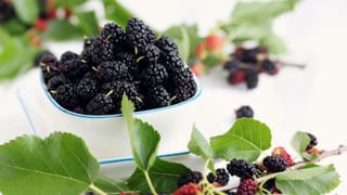 సెల్‌ఫోన్ వాడటంలో ఈ తప్పు చేస్తున్నారా? డేంజర్ జోన్‌లో మీ హెల్త్!