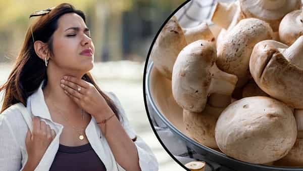 Mushroom Allergy: పుట్టగొడుగుల వల్ల అలర్జీలు ఎందుకు వస్తాయి? ఎవరు తినకూడదు తెలుసా?