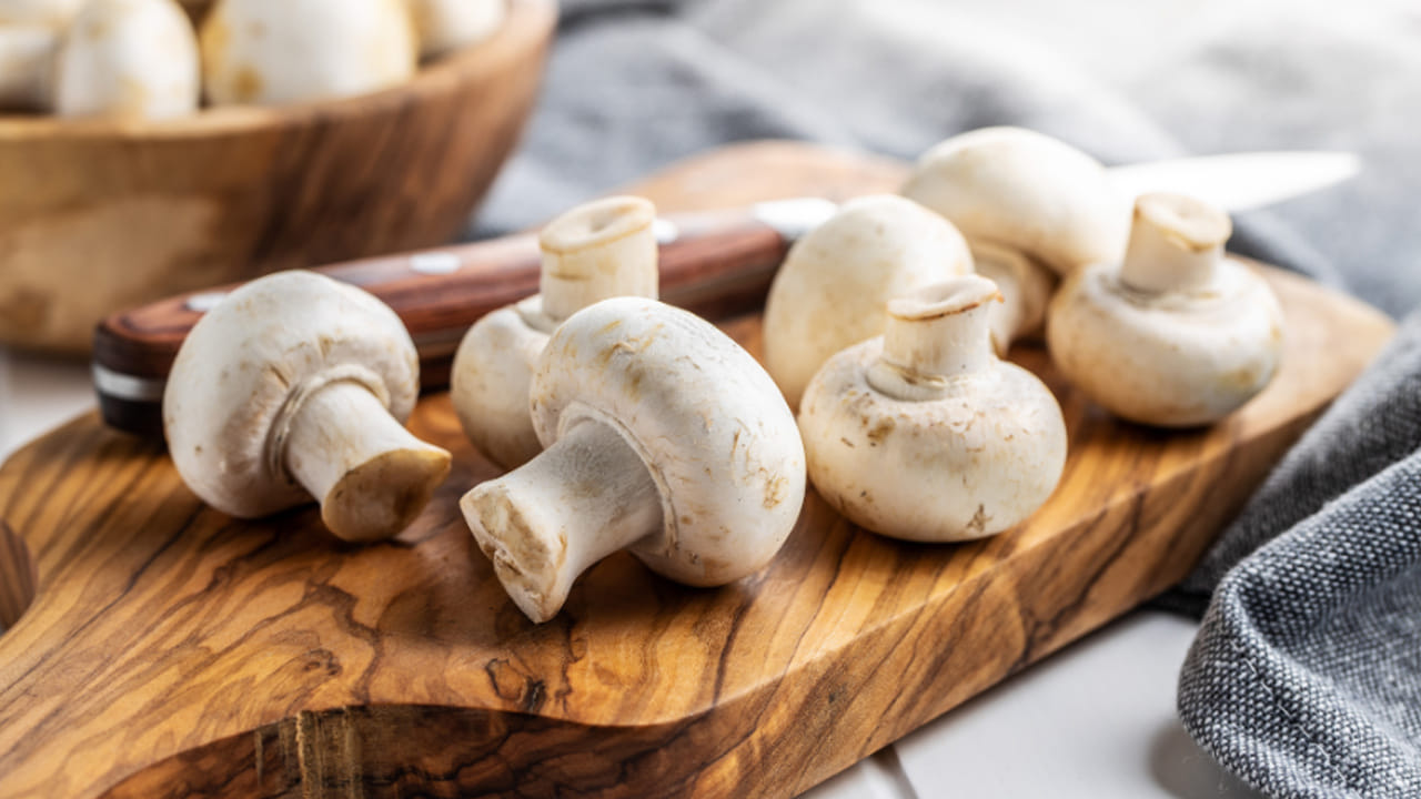 అయితే, ఈ పుట్టగొడుగులు కొందరికి అస్సలు మంచిది కాదు. ముఖ్యంగా, అలర్జీ, ఫంగస్ ఉన్న వారు అస్సలు తినకూడదని అంటున్నారు. లేదంటే  దద్దుర్లు, దురద వంటి సమస్యలు వస్తాయని చెబుతున్నారు. 