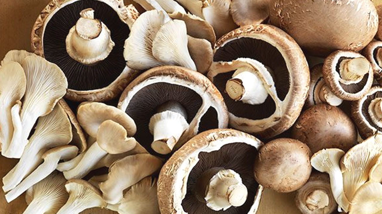 అలాగే, మధుమేహంతో బాధపడే వారు కూడా దీనిని తినకపోవడమే మంచిది. ఎందుకంటే, ఈ సమస్య ఇంకా పెరుగుతుంది. కాబట్టి, జాగ్రత్తగా ఉండండి. వీటిని తినకపోతేనే మంచిది.