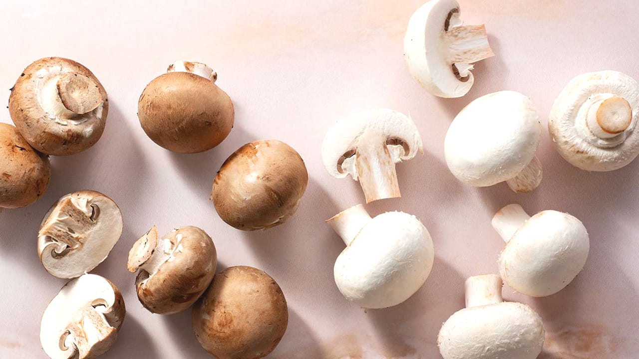 
ఇంకో ముఖ్యమైన విషయం ఏంటంటే, గర్భధారణ సమయంలో పాలిచ్చే తల్లులు వీటిని తినకూడదని నిపుణులు పరిశోధనలు చేసి చెబుతున్నారు. (NOTE: ఇందులోని అంశాలు కేవలం అవగాహన కోసం మాత్రమే. నిపుణులు అందించిన సమాచారం ప్రకారం ఇక్కడ తెలియజేయడమైనది. ఆరోగ్యరీత్యా ఎలాంటి సమస్యలు ఉన్నానేరుగా వైద్య నిపుణులను సంప్రదించడం మంచిది)

