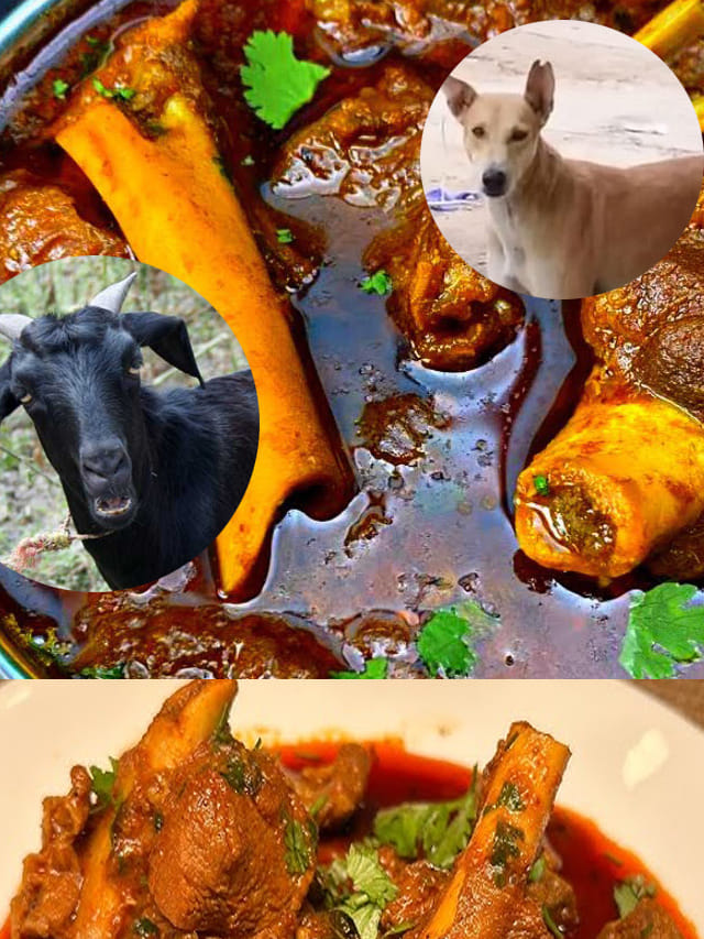 పండుగొచ్చింది..మీరు కొటున్న మటన్, మేకదా లేక కుక్కదా.. ఇలా తెలుసుకోండి!