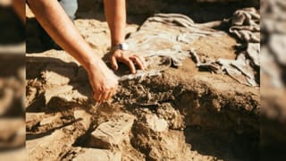 ప్రపంచంలోనే అత్యంత వింతైన బీచ్..! చేపలు, గవ్వలు, పీతలు లేని ప్రదేశంలో వింత దృశ్యం!