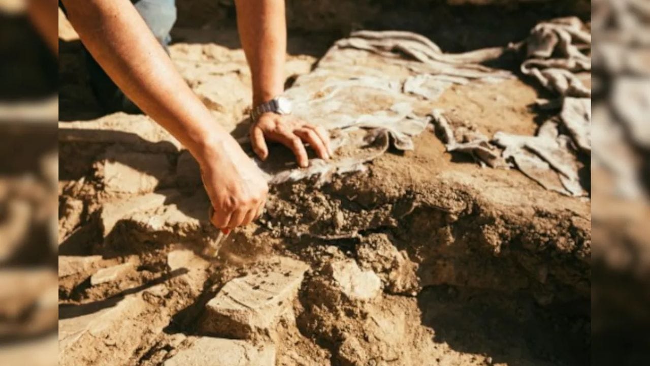 Mysterious Archaeological Find 