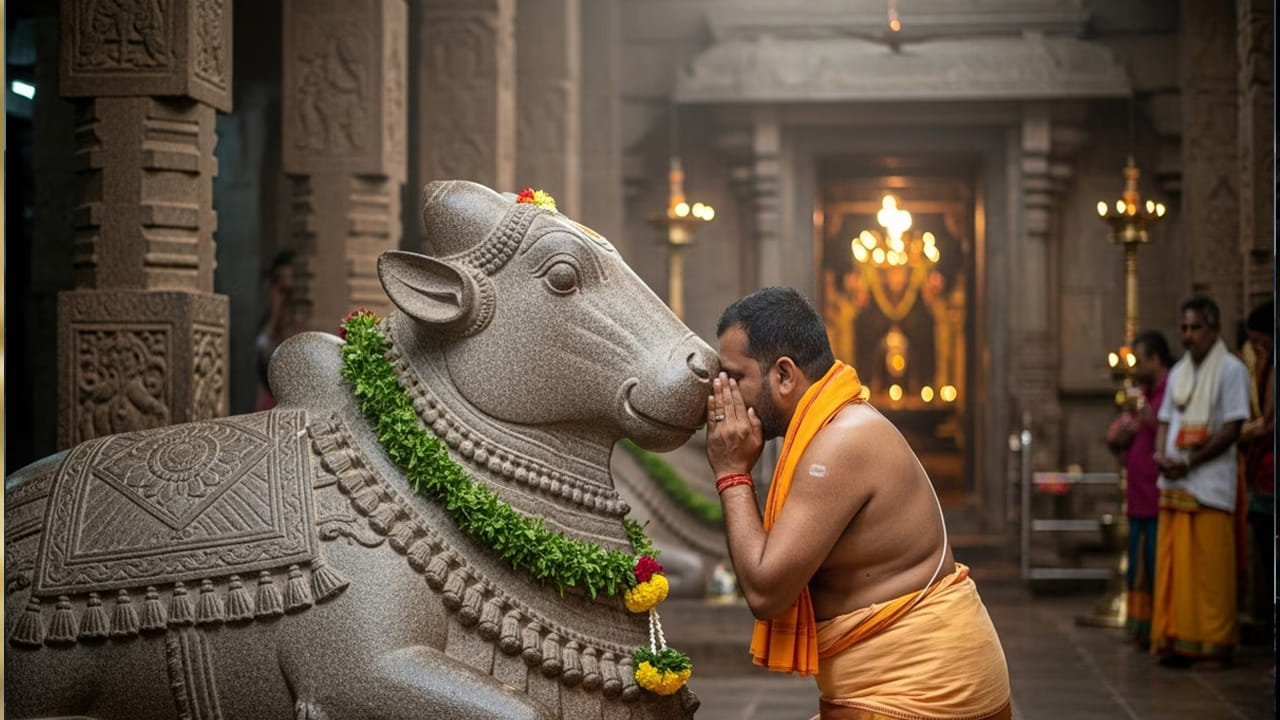  అలాగే నందీశ్వరుడు కూడా భక్తులు చెప్పే ప్రతి కోరికను గుర్తుంచుకుంటాడంట. ఆయన ఏ భక్తులు అయితే స్వచ్ఛమైన మనసుతో తమ కోరికలను తెలియజేస్తారో, వాటిని శివుడికి చేరవేస్తాడని భక్తుల నమ్మకం. అందుకే భక్తులు ఎక్కువగా నంది చెవిలో తమ కోరికలను తెలియజేస్తుంటారు. ఆరోగ్యం, శాంతి, క్షమాపణ, మార్గదర్శకత్వం ఇలా ఏది అయినా సరే తప్పుగా అర్థం చేసుకోకుండా దైవిక దూతగా పని చేస్తాడని భక్తులు నమ్ముతారు.