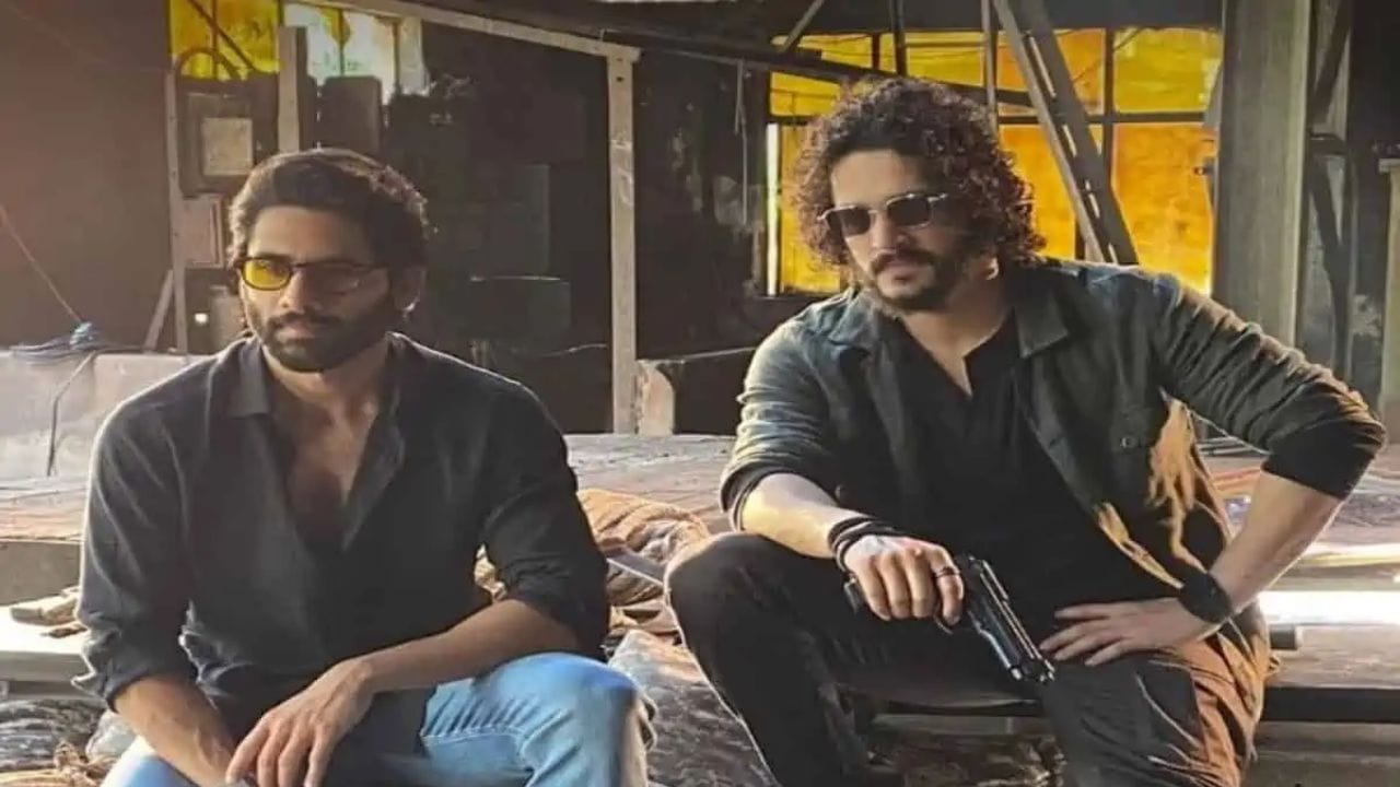 Naga Chaitanya And Akhil