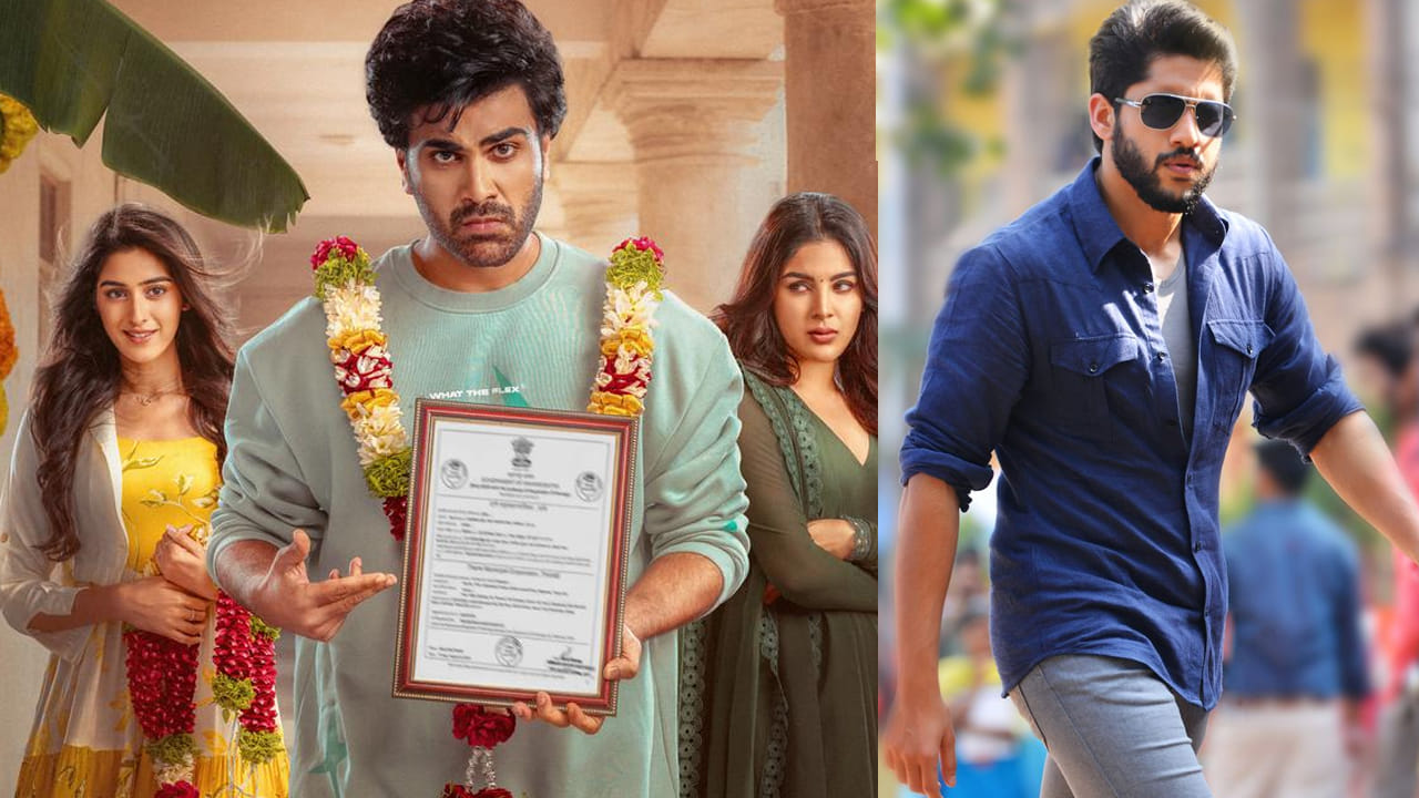 Nari Naduma Murari Movie, N