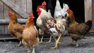 Tickets Booking App: పండక్కి ఇంటికెళ్లే ప్రజలకు ప్రభుత్వం సూపర్ న్యూస్.. ఈ యాప్ ద్వారా అన్నీ టికెట్లు ఒకేచోట..