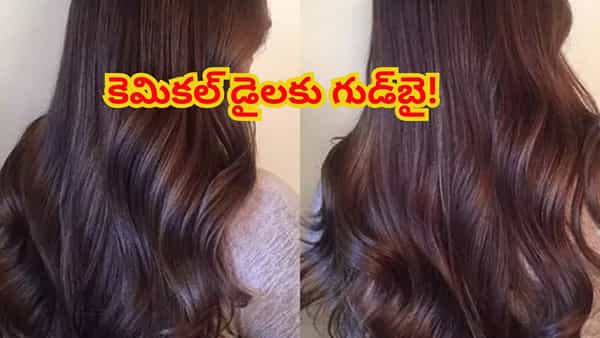 Natural Hair Dye: ఇంకెన్నాళ్లు జుట్టుకు రంగు వాడతారు.. దానిమ్మ తొక్కల్ని ఇలా వాడితే.. తెల్ల జుట్టు సమస్యకు పర్మనెంట్ సొల్యూషన్!