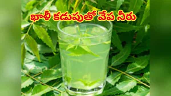 రోజూ ఉదయాన్నే వేప నీరు తాగితే శరీరంలో ఈ అద్భుతాలు.. డాక్టర్లు కూడా ఆశ్చర్యపోతారు!