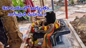 పవిత్ర సోమవారం నాగరాజు దర్శనం.. చూసిన వారికి అద్భుతాలు