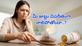 Coconut Water: శీతాకాలంలో కొబ్బరి నీళ్లు తాగడం మంచిదేనా.. 90 శాతం మందికి తెలియని నిజాలివే!