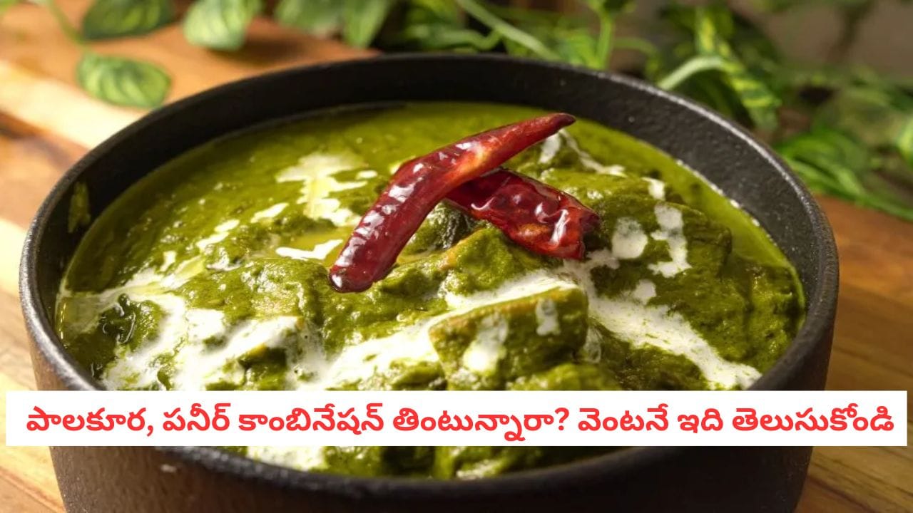 Palak Paneer Nutrition: పాలకూర, పనీర్ కాంబినేషన్ తింటున్నారా? వెంటనే ఇది తెలుసుకోండి Palak Paneer Nutrition: పాలకూర, పనీర్ కాంబినేషన్ తింటున్నారా? వెంటనే ఇది తెలుసుకోండి