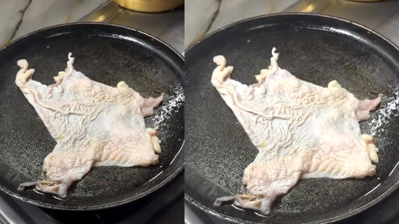 కోడి తోలు ఆమ్లెట్ తయారీ విధానం:  ముందుగా చికెన్ స్కిన్ ని తీసుకుని  శుభ్రంగా కడిగి పెట్టుకోవాలి. ఆ తర్వాత వాటిని ఒక గిన్నెలో వేసుకుని పసుపు, కారం ఉప్పు వేసి కలిసిపోయే వరకు గరెటితో తిప్పి ఈ మిశ్రమాన్ని పక్కకు పెట్టుకోండి.
