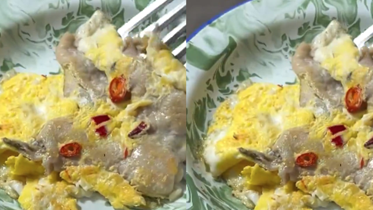 ఆ తర్వాత స్టవ్ మీద పాన్ పెట్టి దానిలో 2 టేబుల్ స్పూన్స్  నూనె వేసి గిన్నెలో కలిపిన కోడిగుడ్ల మిశ్రమాన్ని పోయండి. ఆ తర్వాత  కొత్తిమీర కొంచం చల్లుకొని మూతపెట్టేయండి. కొద్దీ సేపటి తర్వాత  ఆమ్లెట్ ను రెండు వైపులా తిప్పుతూ.. అది కాలిన తర్వాత దానిని ఒక ప్లేట్ లోకి తీసుకోండి. అంతే వేడి వేడి కోడి తోలు ఆమ్లెట్ రెడీ.