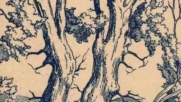 Optical Illusion: దమ్ముంటే కాస్కో.. ఈ చిత్రంలోని దాగి ఉన్న 3 ముఖాలను గుర్తిస్తే, మిమ్మల్ని మించిన తోపులు లేరు