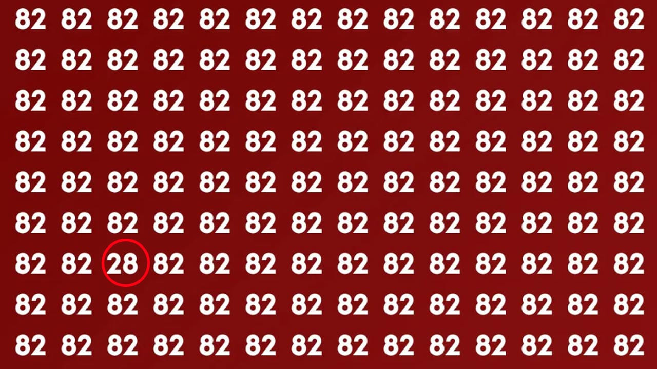 ఏమైంది ఎంత వెతికినా మీకు 28 కనిపించడం లేదా? వెతికి వెతికి చిరాకు వస్తుందా? అయితే కంగారు పడాల్సిన పనేలేదు. మీకు పై చిత్రంలో 28 ఎక్కడుంది? అనే సమాధానం చెబుతాం. పై ఫొటోలో చివరి నుంచి మూడో లైన్‌లో మూడో నెంబర్ 28. అంతే సులభంగా జవాబు దొరికేసింది కదా? ఇవి మానసిక ప్రశాంతతను మెరుగుపరుస్తాయి. కాబట్టి ప్రతి ఒక్కరూ వీటిని పరిష్కరించడం వలన బ్రెయిన్ పనితీరును మెరుగుపరుచుకోవచ్చు.