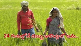 రైతులకు ఏపీ సర్కార్ గుడ్ న్యూస్.. 24 గంటల్లోనే అకౌంట్లలో డబ్బు జమ