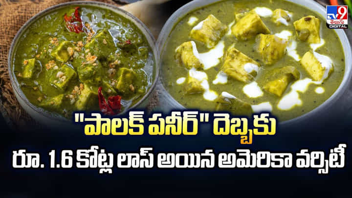 పాలక్ పనీర్ దెబ్బకు రూ. 1.6 కోట్ల లాస్ అయిన అమెరికా వర్సిటీ వీడియో పాలక్ పనీర్ దెబ్బకు రూ. 1.6 కోట్ల లాస్ అయిన అమెరికా వర్సిటీ వీడియో