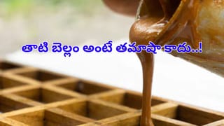 గుమ్మడి గింజలా మజాకా..? రోజూ రెండు స్పూన్లు తిన్నారంటే..ఈ  భయంకర సమస్యలు బలదూర్..!