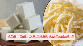 పనీర్ కంటే జున్ను మంచిదా..? నిపుణులు ఏమంటున్నారు..?