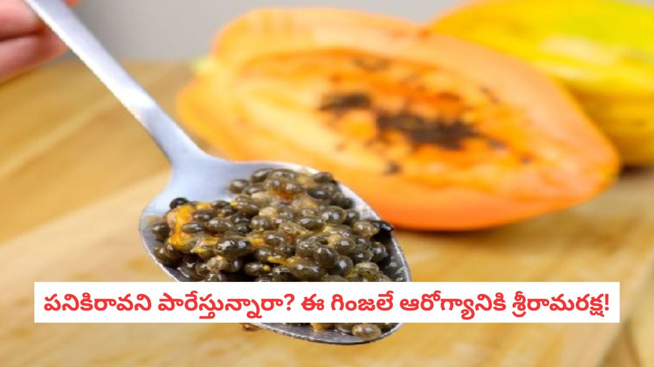 Papaya Seeds: పండు కంటే గింజల్లోనే ఎక్కువ పవర్.. బొప్పాయి గురించి ఈ షాకింగ్ బెనిఫిట్స్ తెలుసా?