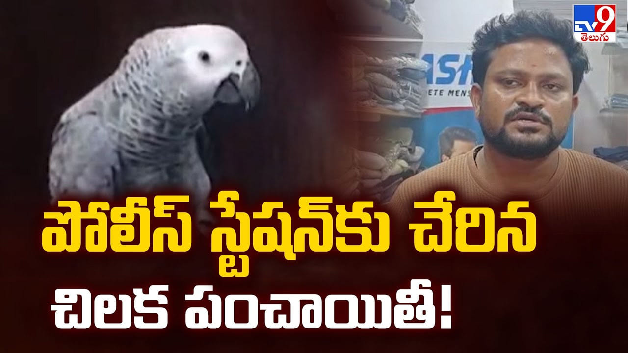 పోలీస్‌ స్టేషన్‌కు చేరిన చిలక పంచాయితీ