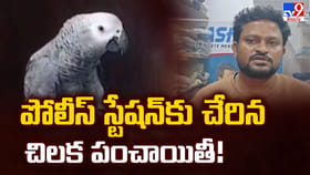 పోలీస్‌ స్టేషన్‌కు చేరిన చిలక పంచాయితీ