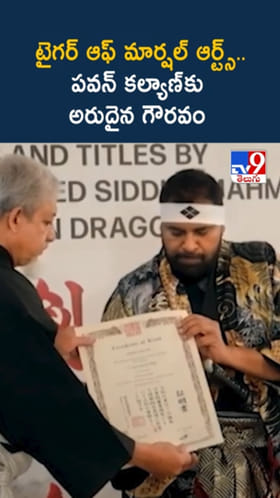 టైగర్ ఆఫ్‌ మార్షల్ ఆర్ట్స్.. పవన్ కల్యాణ్‌కు అరుదైన గౌరవం