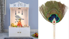 నెమలి ఈకలను ఇంట్లోని ఈ 5 ప్రదేశాల్లో పెట్టండి.. మీపై సంపద వర్షమే