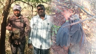 Telangana Womens: మహిళలకు తెలంగాణ ప్రభుత్వం తీపికబురు.. ఆ రెండు పథకాలపై బిగ్ అప్డేట్