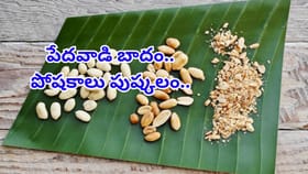 పేదవాడి బాదం.. రోజూ గుప్పెడు తిన్నారంటే..ఆరోగ్యానికి ఢోకా లేదు..!