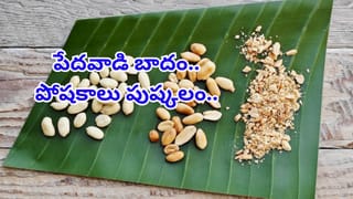 ఈ పండ్లు ఎక్క‌డైనా క‌నిపించాయా..? వెంటనే తెచ్చుకుని తినేయండి.. బోలెడన్నీ బెనిఫిట్స్..